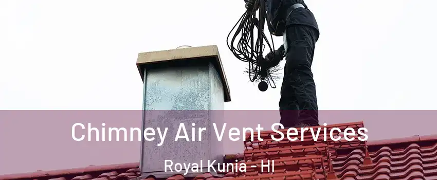 Chimney Air Vent Services Royal Kunia - HI