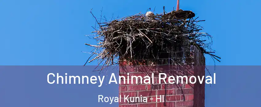  Chimney Animal Removal Royal Kunia - HI