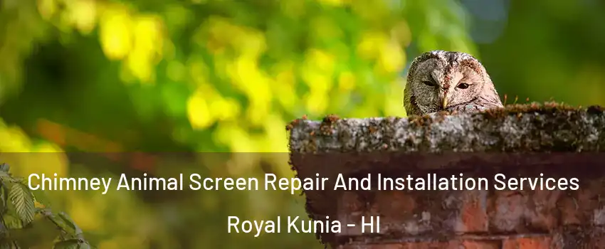  Chimney Animal Screen Repair And Installation Services Royal Kunia - HI