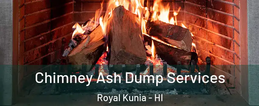  Chimney Ash Dump Services Royal Kunia - HI