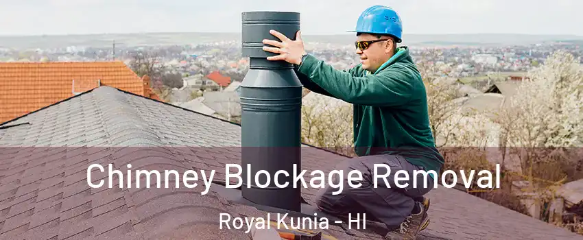  Chimney Blockage Removal Royal Kunia - HI