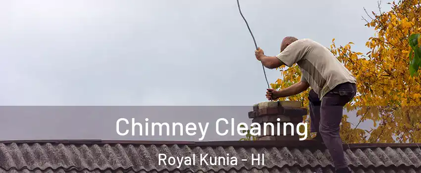  Chimney Cleaning Royal Kunia - HI