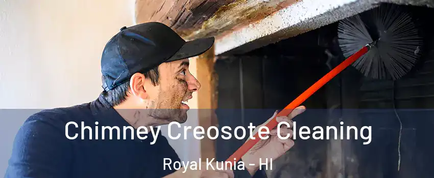  Chimney Creosote Cleaning Royal Kunia - HI