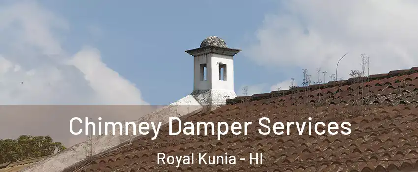  Chimney Damper Services Royal Kunia - HI