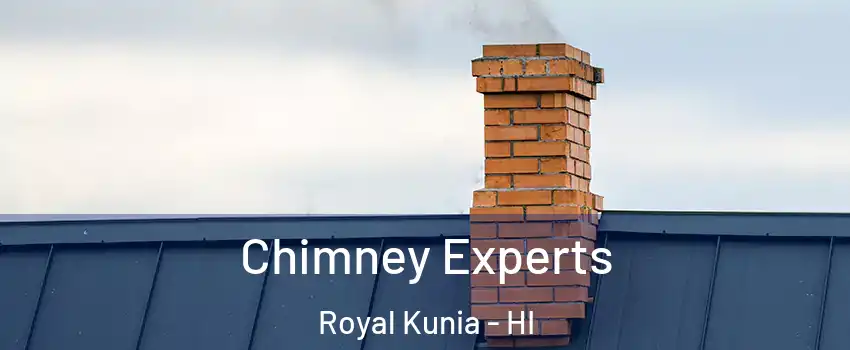  Chimney Experts Royal Kunia - HI