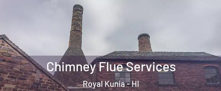  Chimney Flue Services Royal Kunia - HI