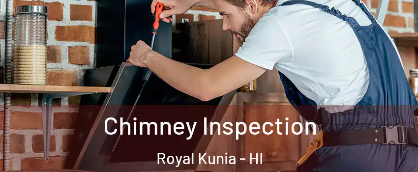  Chimney Inspection Royal Kunia - HI