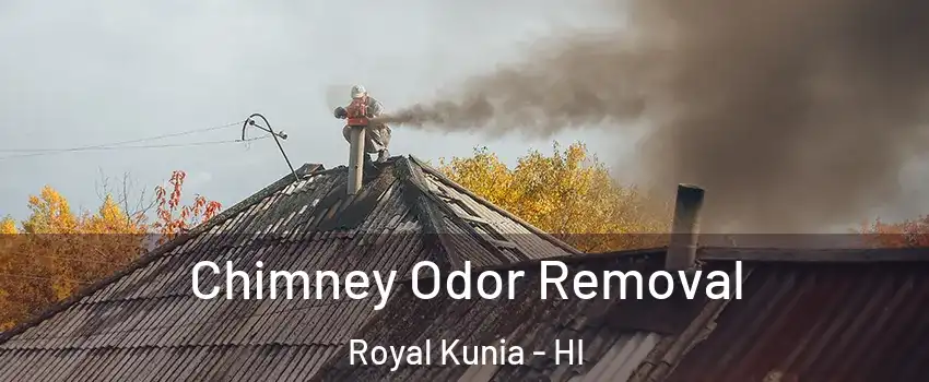  Chimney Odor Removal Royal Kunia - HI