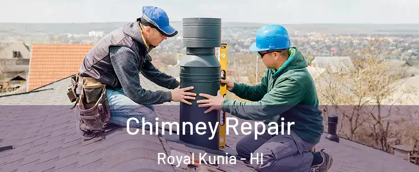  Chimney Repair Royal Kunia - HI