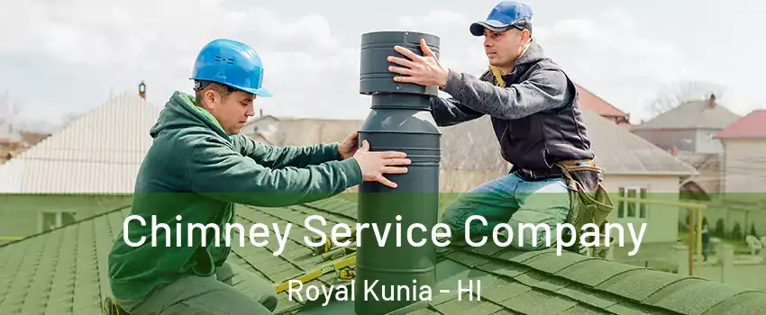  Chimney Service Company Royal Kunia - HI