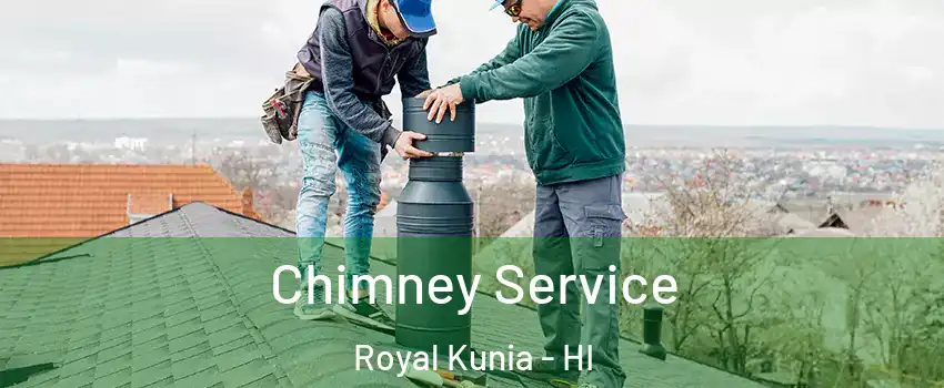  Chimney Service Royal Kunia - HI
