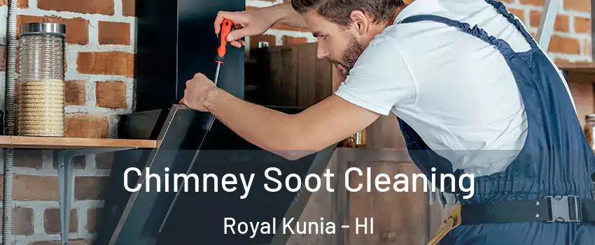  Chimney Soot Cleaning Royal Kunia - HI