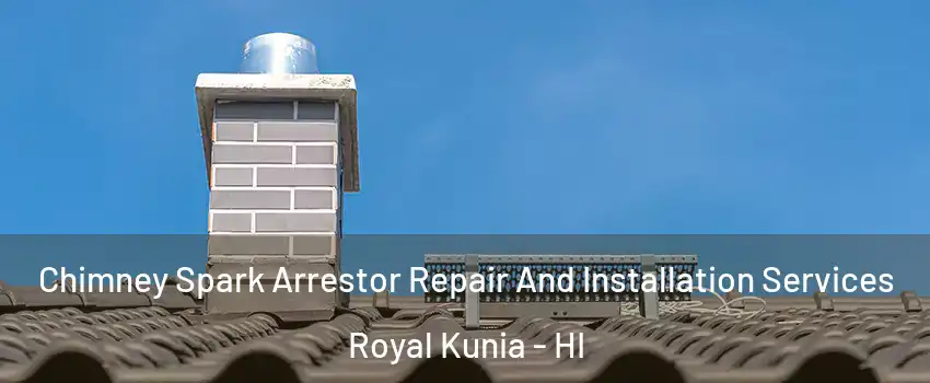  Chimney Spark Arrestor Repair And Installation Services Royal Kunia - HI