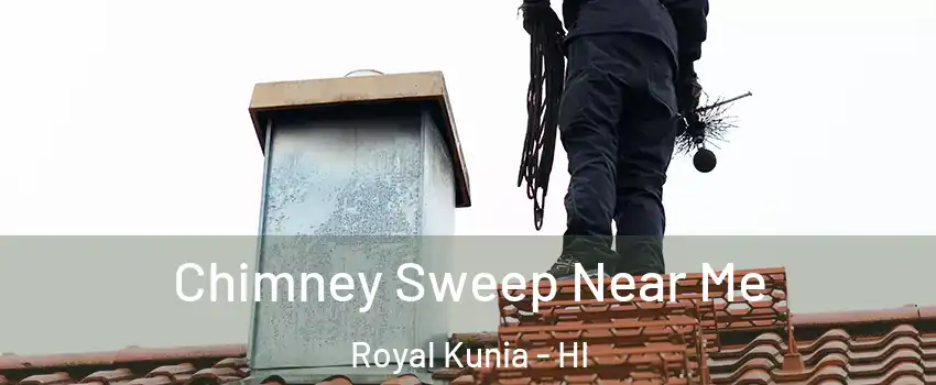  Chimney Sweep Near Me Royal Kunia - HI