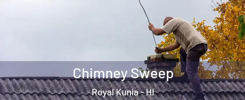  Chimney Sweep Royal Kunia - HI