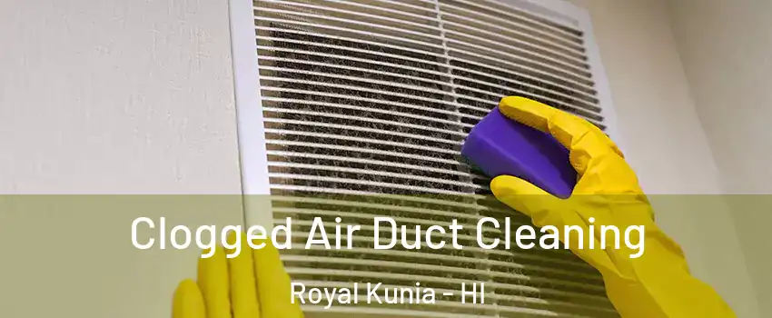  Clogged Air Duct Cleaning Royal Kunia - HI