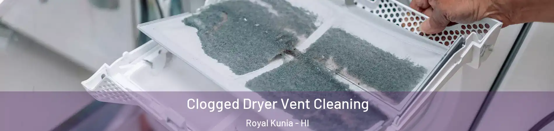  Clogged Dryer Vent Cleaning Royal Kunia - HI