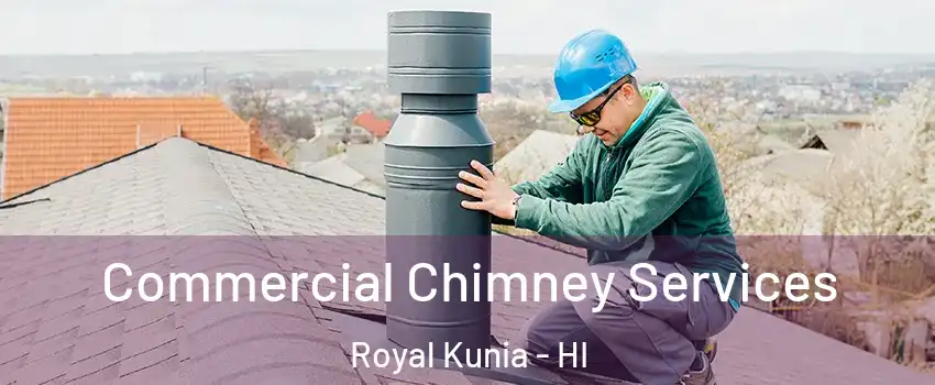  Commercial Chimney Services Royal Kunia - HI
