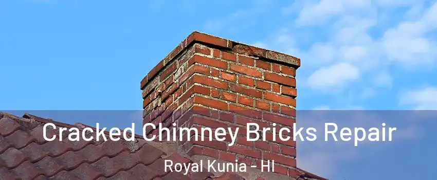  Cracked Chimney Bricks Repair Royal Kunia - HI