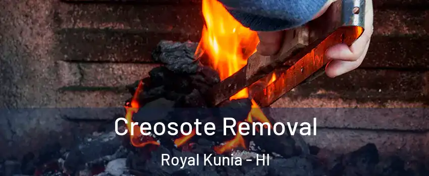  Creosote Removal Royal Kunia - HI