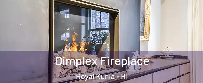  Dimplex Fireplace Royal Kunia - HI