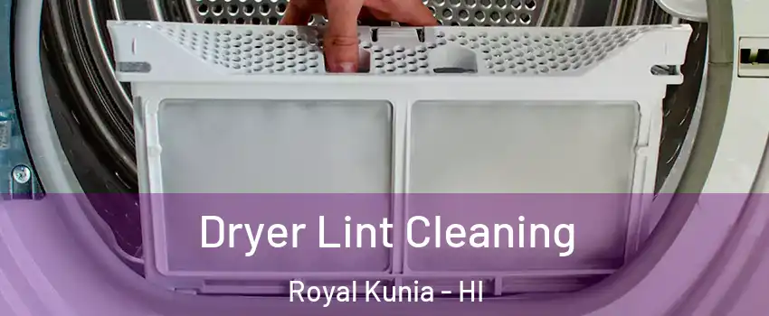  Dryer Lint Cleaning Royal Kunia - HI