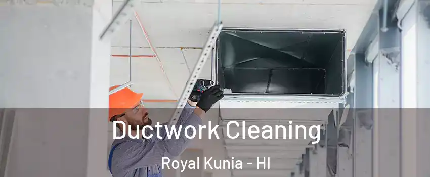  Ductwork Cleaning Royal Kunia - HI