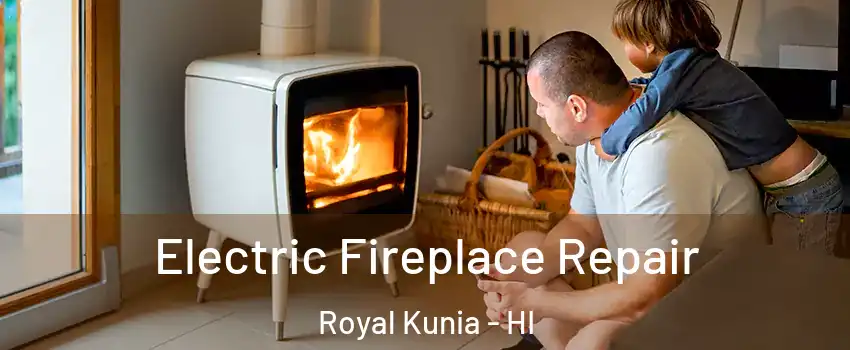  Electric Fireplace Repair Royal Kunia - HI
