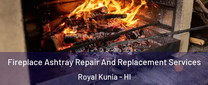  Fireplace Ashtray Repair And Replacement Services Royal Kunia - HI