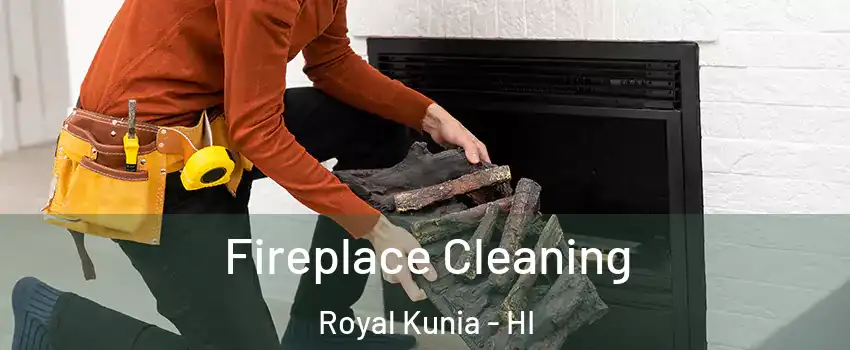  Fireplace Cleaning Royal Kunia - HI