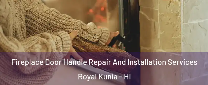  Fireplace Door Handle Repair And Installation Services Royal Kunia - HI
