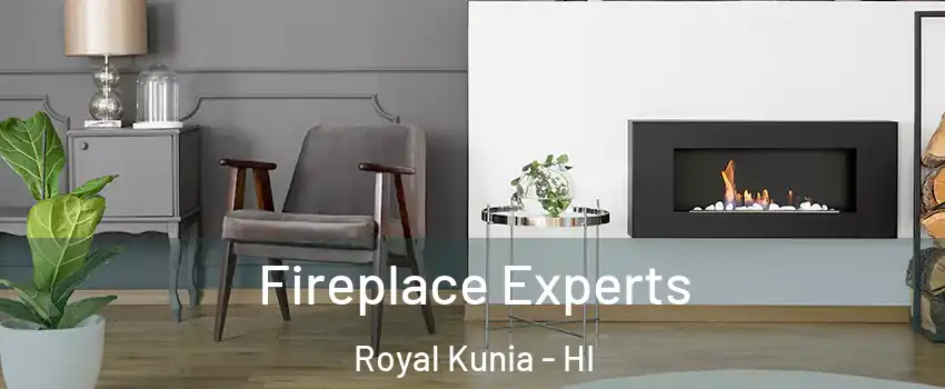 Fireplace Experts Royal Kunia - HI