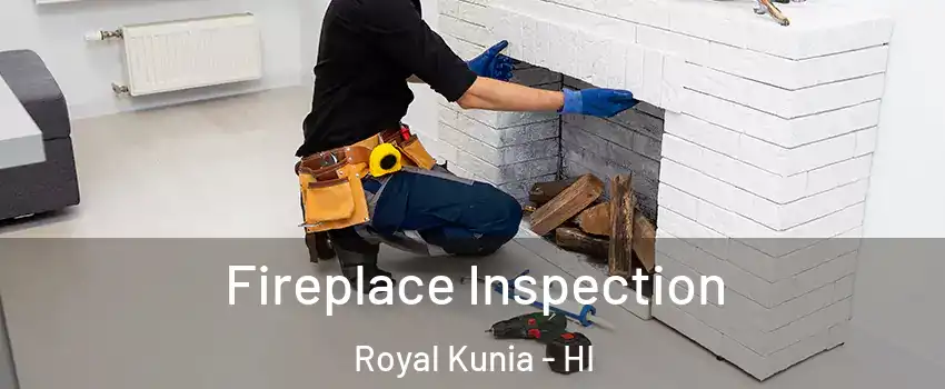  Fireplace Inspection Royal Kunia - HI