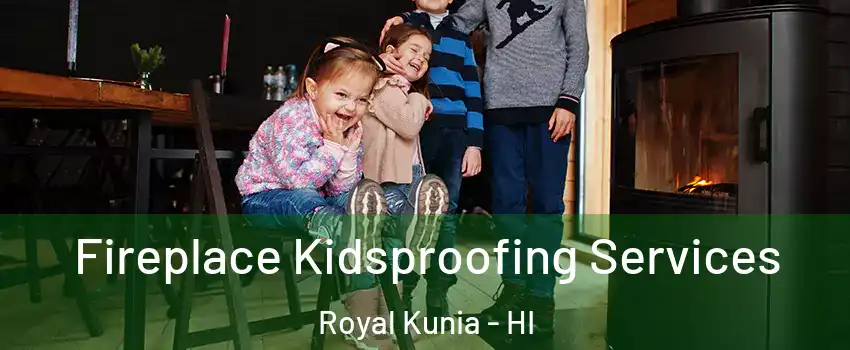  Fireplace Kidsproofing Services Royal Kunia - HI