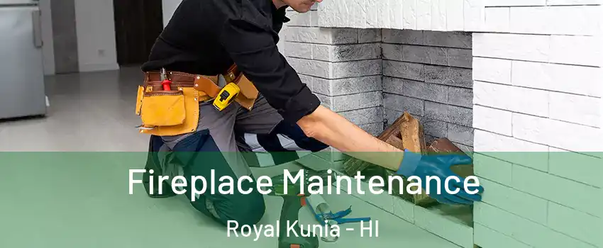  Fireplace Maintenance Royal Kunia - HI
