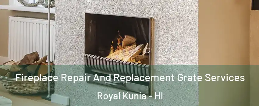  Fireplace Repair And Replacement Grate Services Royal Kunia - HI