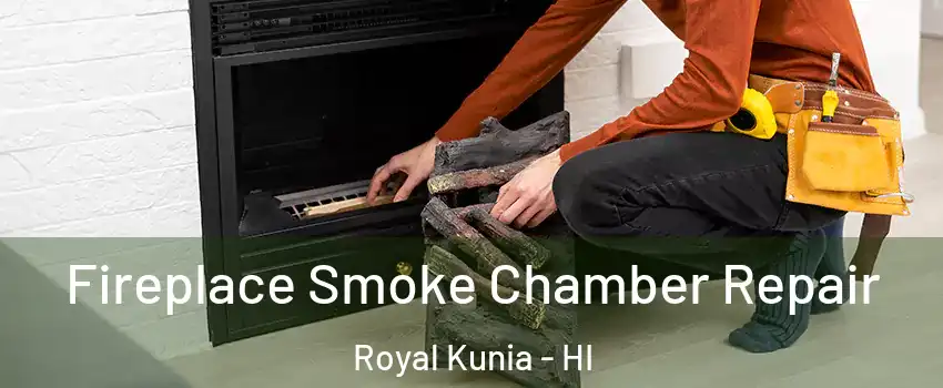  Fireplace Smoke Chamber Repair Royal Kunia - HI