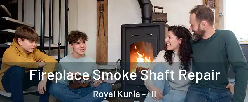  Fireplace Smoke Shaft Repair Royal Kunia - HI