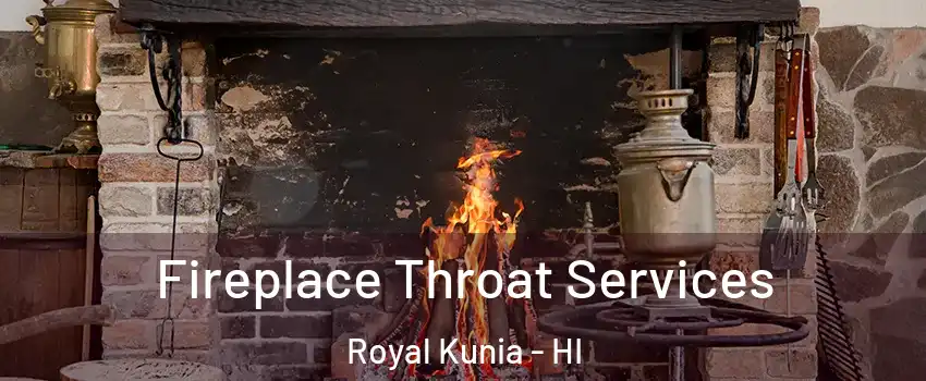  Fireplace Throat Services Royal Kunia - HI