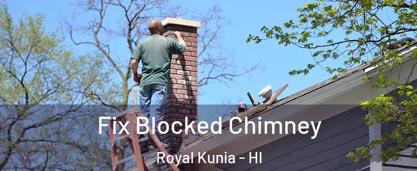  Fix Blocked Chimney Royal Kunia - HI