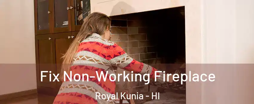  Fix Non-Working Fireplace Royal Kunia - HI