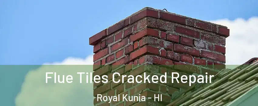  Flue Tiles Cracked Repair Royal Kunia - HI