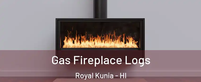  Gas Fireplace Logs Royal Kunia - HI