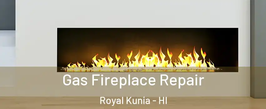  Gas Fireplace Repair Royal Kunia - HI
