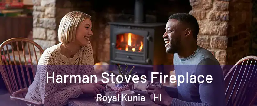  Harman Stoves Fireplace Royal Kunia - HI