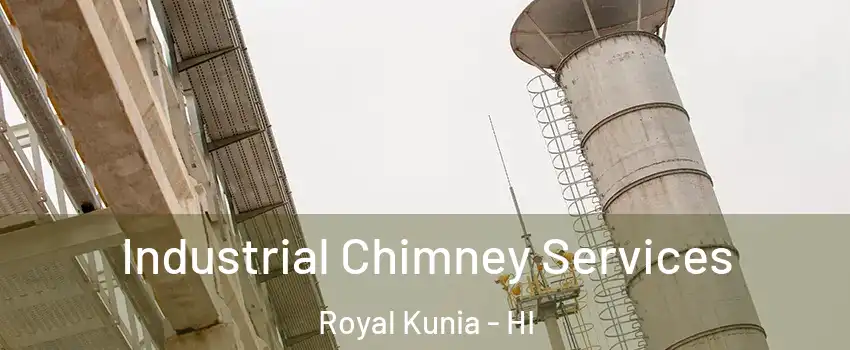  Industrial Chimney Services Royal Kunia - HI