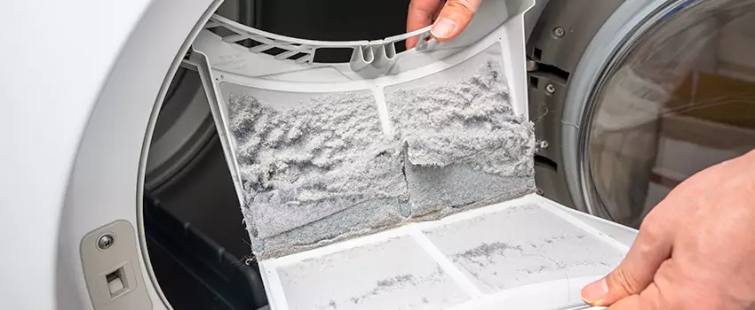 Best Dryer Lint Removal Company in Royal Kunia, Hawaii