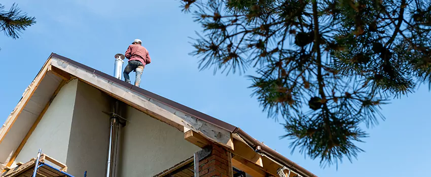 Birds Removal Contractors from Chimney in Royal Kunia, HI