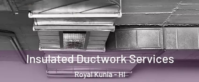  Insulated Ductwork Services Royal Kunia - HI
