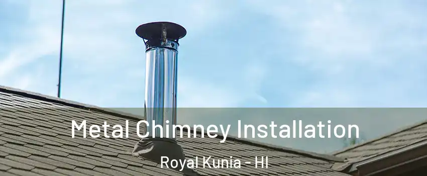  Metal Chimney Installation Royal Kunia - HI